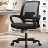 Ghế Văn Phòng Công Thái Học Neo Chair – Đẳng Cấp Thoáng Mát & Hỗ Trợ Cột Sống
