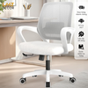 Ghế Văn Phòng Công Thái Học Neo Chair – Đẳng Cấp Thoáng Mát & Hỗ Trợ Cột Sống